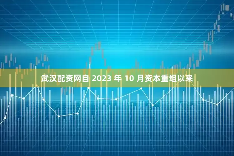 武汉配资网自 2023 年 10 月资本重组以来