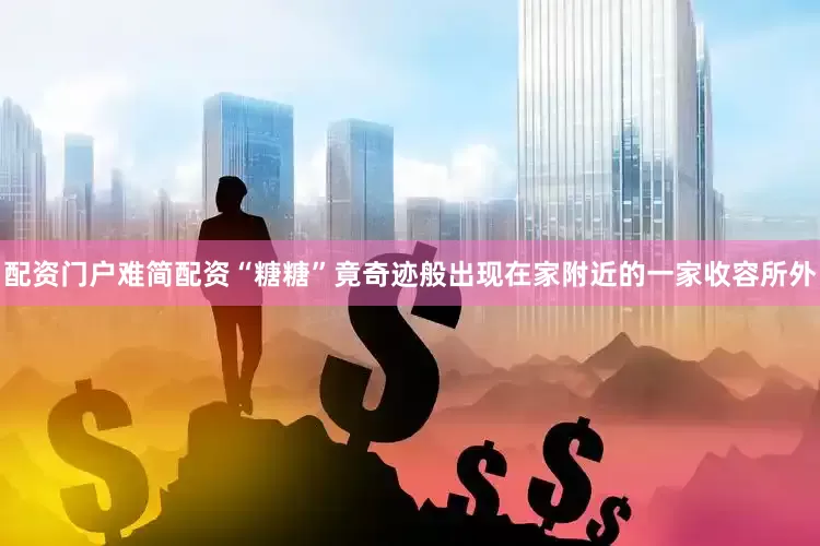 配资门户难简配资“糖糖”竟奇迹般出现在家附近的一家收容所外