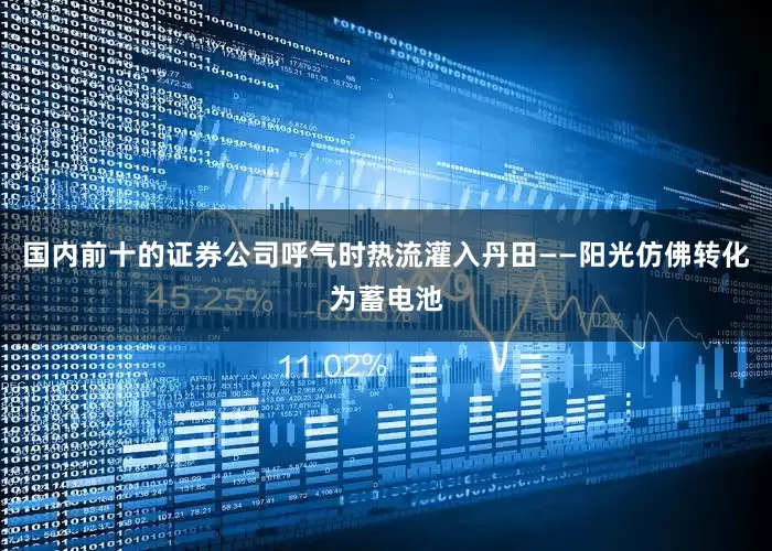 国内前十的证券公司呼气时热流灌入丹田——阳光仿佛转化为蓄电池
